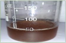 jcm_09_2.jpg