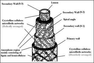 jcm_11_01.jpg