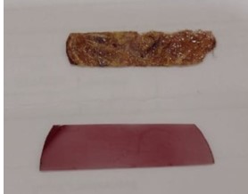 jcm_12_1.jpg