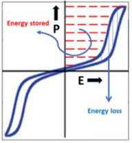 jcm_1_2.jpg