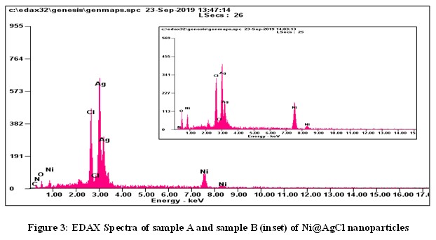 jcm_29_4.jpg